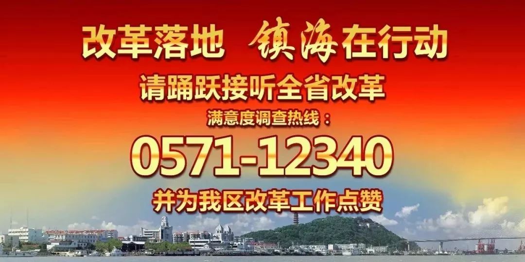 镇海最新招聘动态及其区域人才生态影响分析