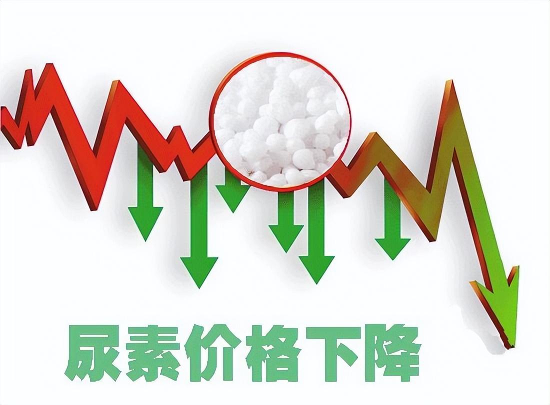 瑞星尿素最新价格动态分析